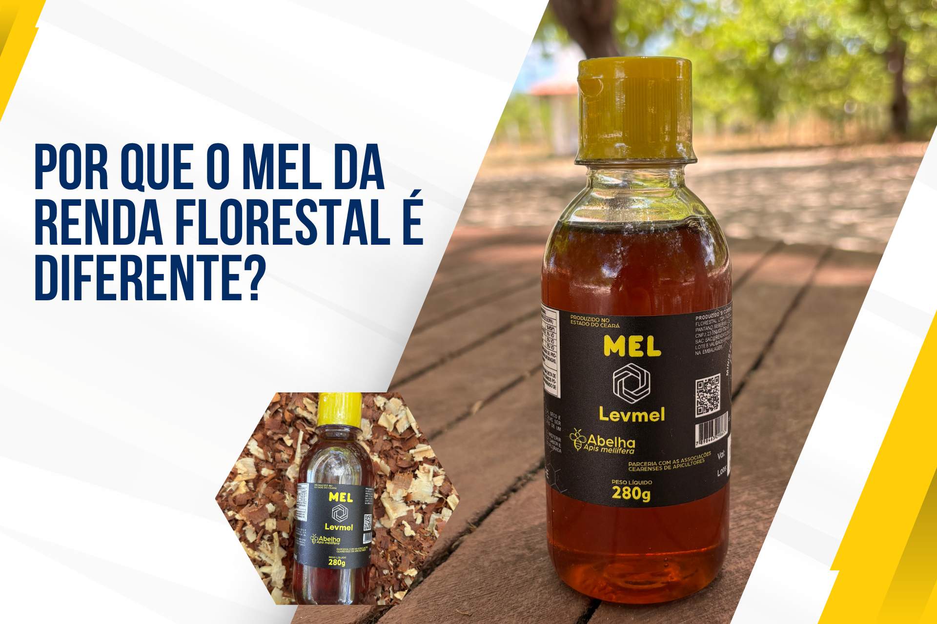 Por que o mel da Renda Florestal é diferente?