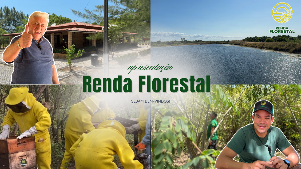 Apresentação Renda Florestal no YouTube – Sustentabilidade que Gera Valor