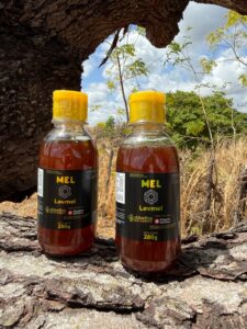 ace73eb2-40b7-419c-bf51-c1121a492c1f