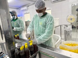 cee75ebd-94ae-4033-b099-64e1d1f0818b