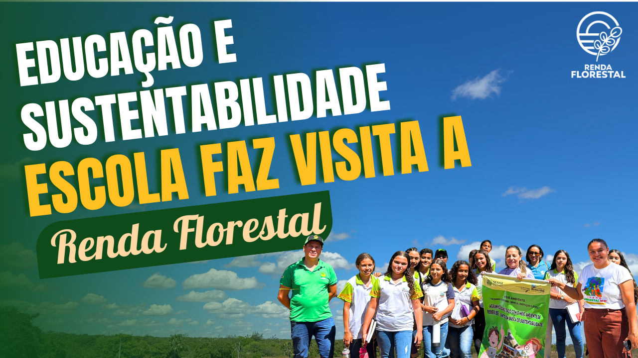 Educação e Sustentabilidade: Escola visita a Renda Florestal